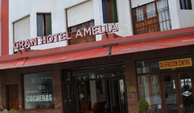 Gran Hotel Amelia