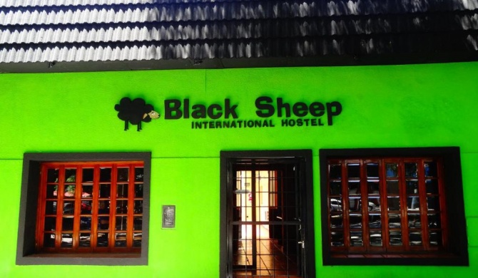 Black Sheep International Hostel