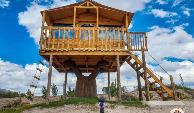 Casa de Arbol/ Treehouse