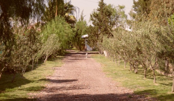 Casas de Campo Los Corralitos