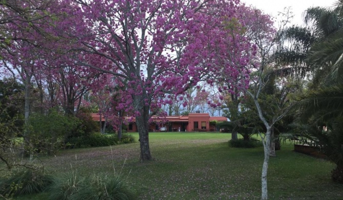 Estancia La violeta