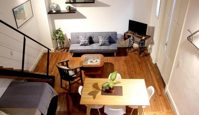 Amazing New Loft 2 -Historical Building San Telmo