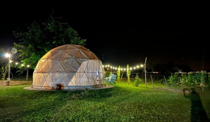 Glamping Salta