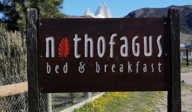 Nothofagus Bed & Breakfast