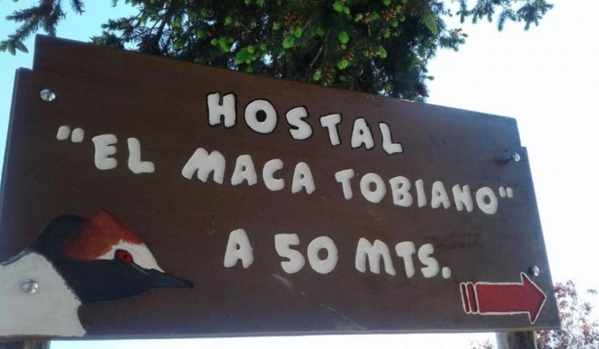 Hostel El Maca Tobiano