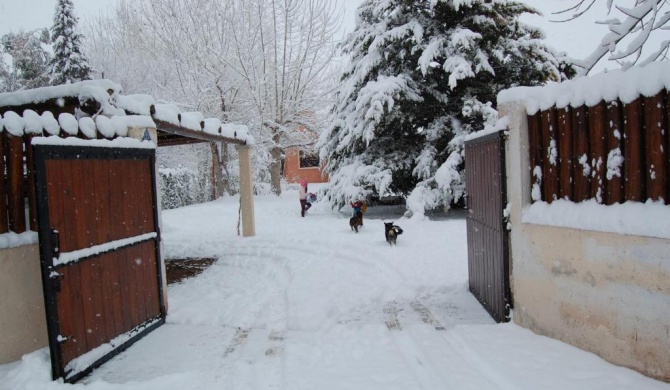 Casa del Bosque en los Caminos del Vino