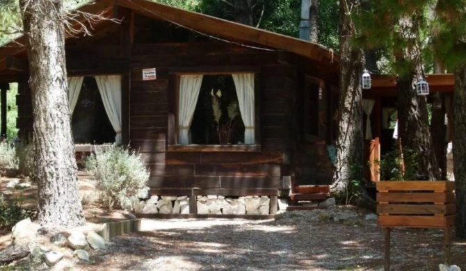 Cabaña El Deseo En El Bosque