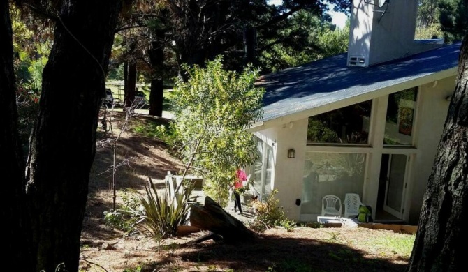 Casa luminosa en el bosque (Mar Azul)