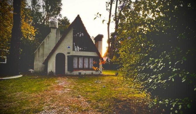 Cabaña Alpina del bosque!